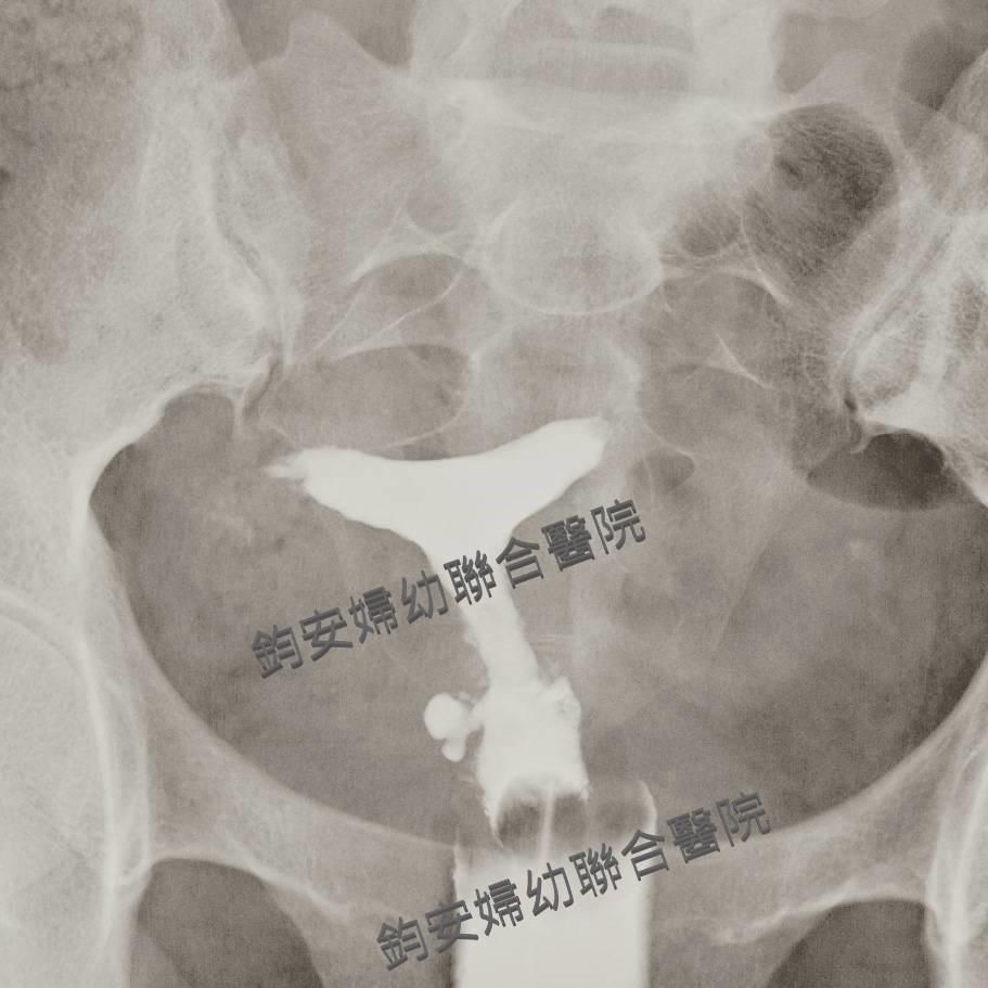 鈞安婦幼聯合醫院的最新訊息 鈞安婦幼聯合醫院的最新訊息圖片