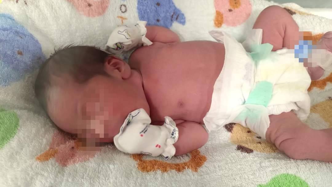 台視採訪--暖心專案的第3張圖片