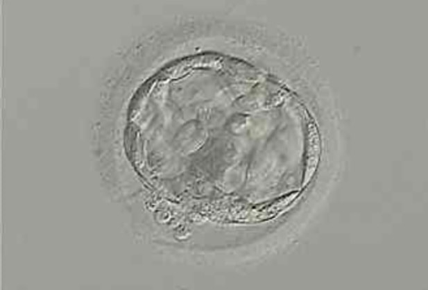 鈞安婦幼聯合醫院的最新訊息 鈞安婦幼聯合醫院的最新訊息圖片