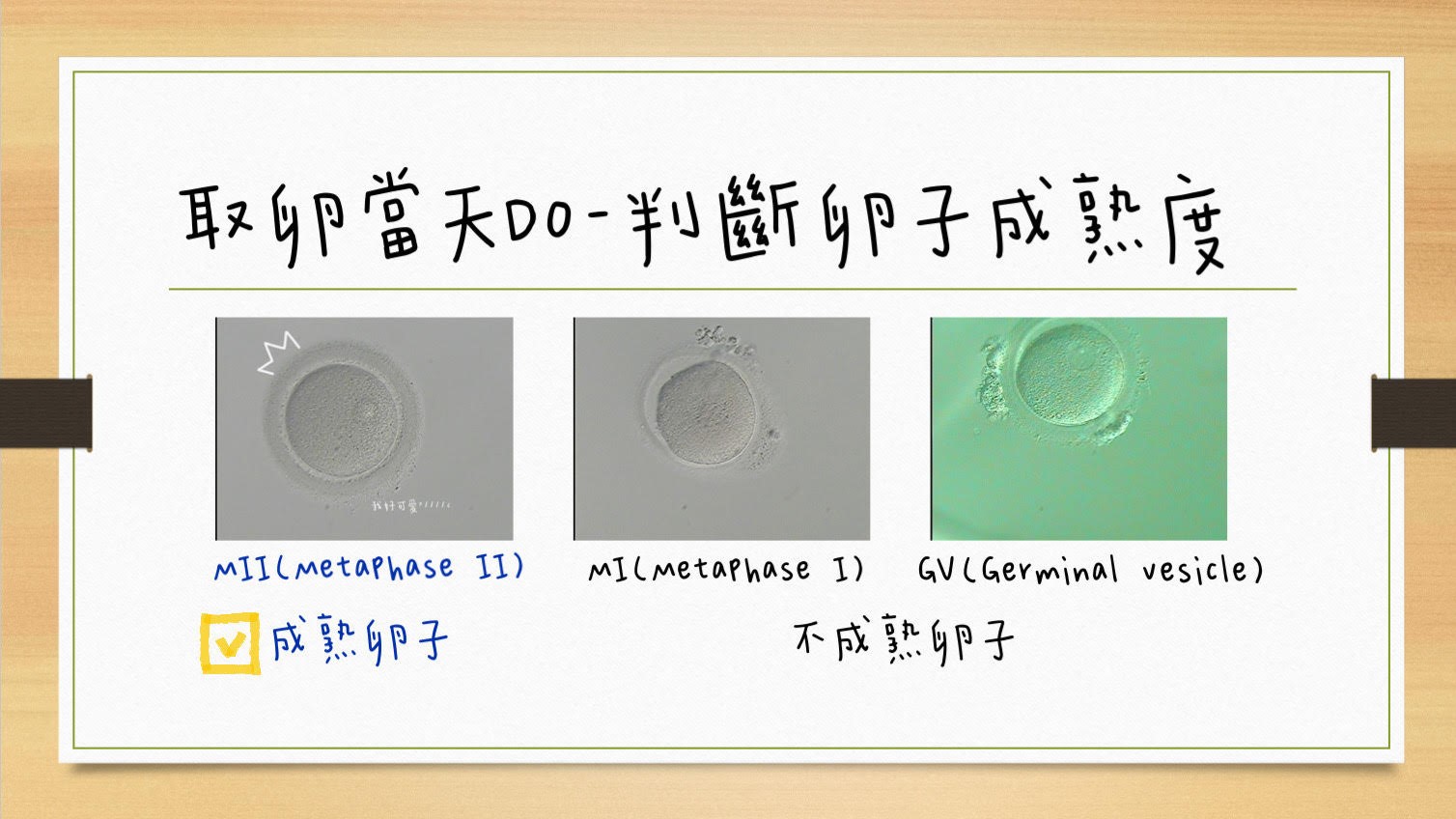 鈞安婦幼聯合醫院的試管嬰兒中心圖片