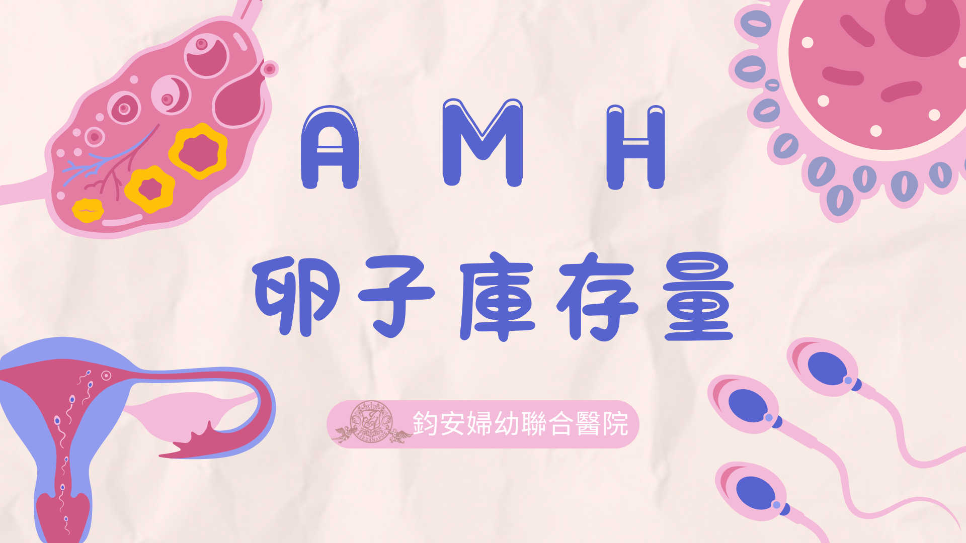 鈞安婦幼聯合醫院的試管嬰兒中心圖片