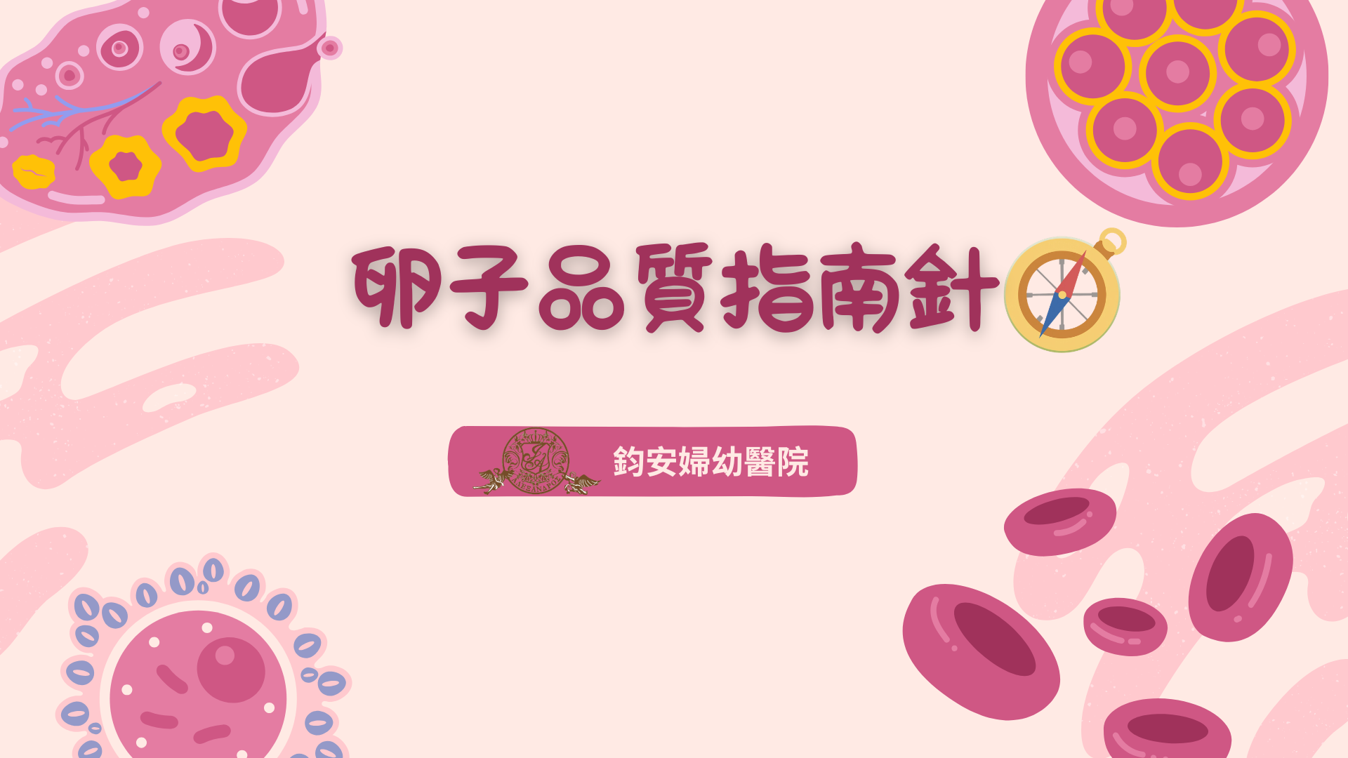 鈞安婦幼聯合醫院的試管嬰兒中心圖片